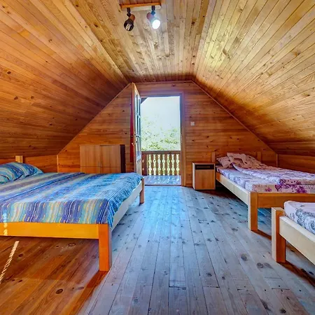 Brvnare Cirkovic Zlatibor